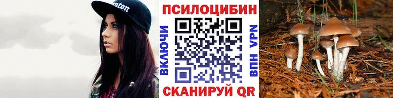 Псилоцибиновые грибы мухоморы  Ачхой-Мартан 